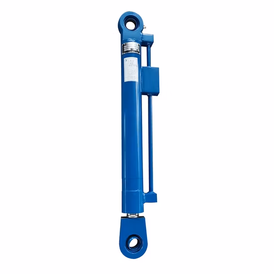 Perni Tappi terminali Coperture protettive Soluzioni speciali per pompe peristaltiche Personalizza Fabbrica di produttori professionali idraulici a cilindro singolo a doppio effetto per pressa per olio