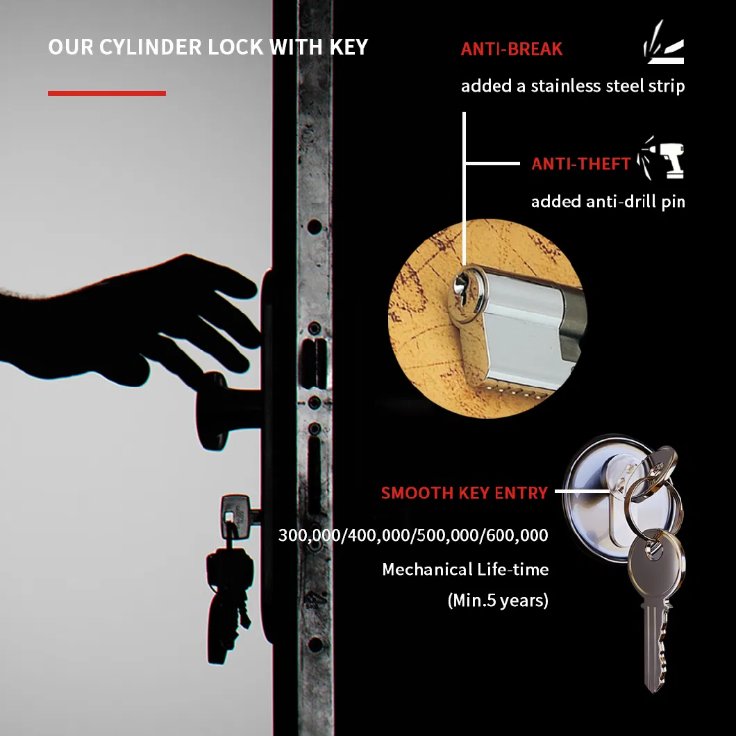 Anti-Theft Manufactured Double Line Pin Euro Entry Door Lock Cylinder